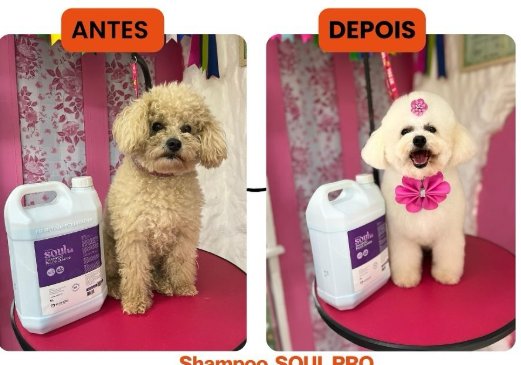 Before & After