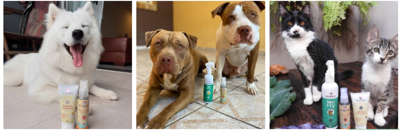 Pets trusting Pethucos